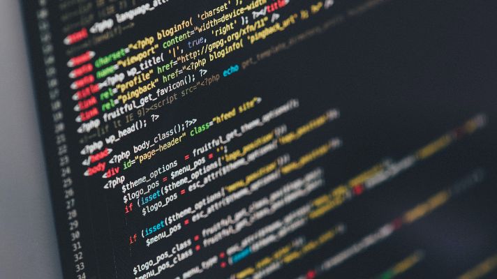 custom website development