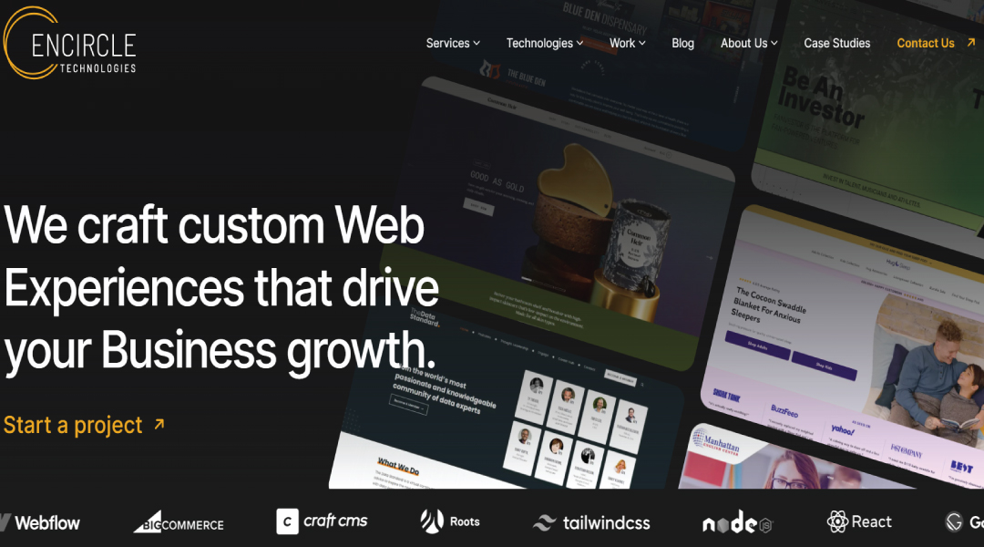 shopify website development services in india 